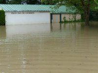 Un-environnement-humide.jpg