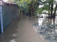 allée  reste  38 cm .jpeg